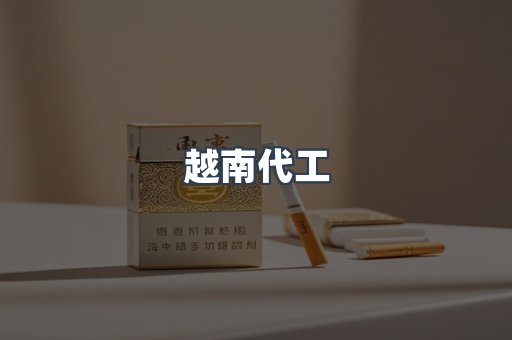 越南代工